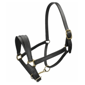 Horse Halter