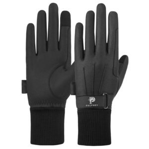 Winter Gloves