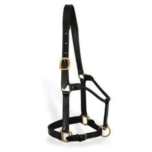 Horse Halter
